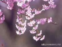 常州鲸歌智能科技有限公司