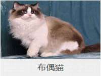 常州鲸歌智能科技有限公司