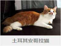 常州鲸歌智能科技有限公司