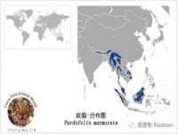 常州鲸歌智能科技有限公司