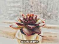 常州鲸歌智能科技有限公司