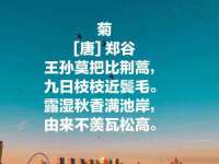 常州鲸歌智能科技有限公司