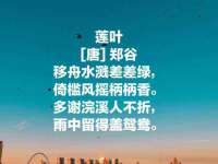 常州鲸歌智能科技有限公司