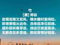 常州鲸歌智能科技有限公司