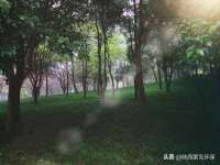 常州鲸歌智能科技有限公司