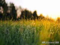 常州鲸歌智能科技有限公司
