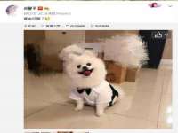 常州鲸歌智能科技有限公司