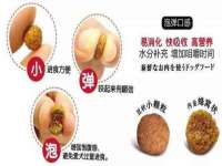 常州鲸歌智能科技有限公司