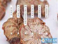 常州鲸歌智能科技有限公司