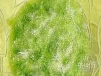 常州鲸歌智能科技有限公司